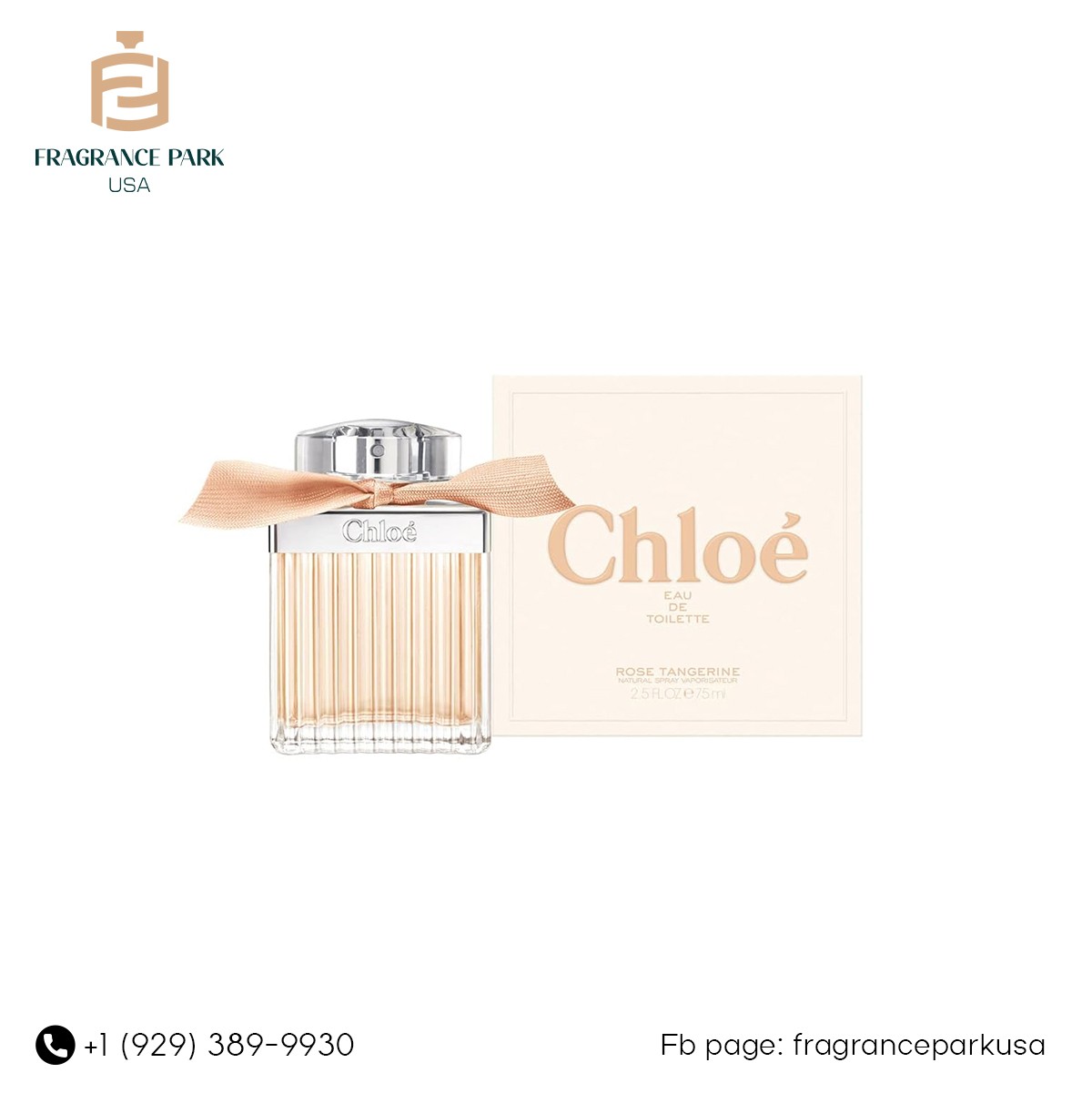 Chloe Rose Tangerine